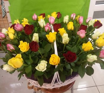 51 роза в корзине ,Кения, 40см